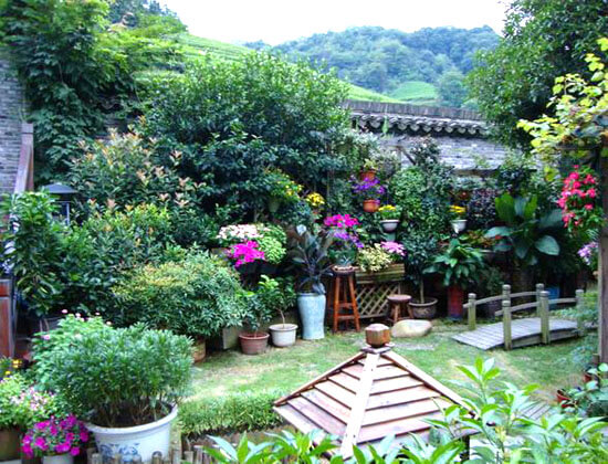 園林綠化養(yǎng)護之花卉日常如何養(yǎng)護呢?