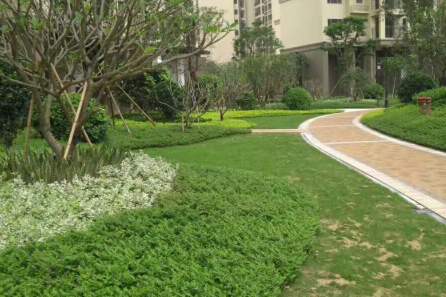 園林綠化設(shè)計中鋪裝的幾個表現(xiàn)要素！